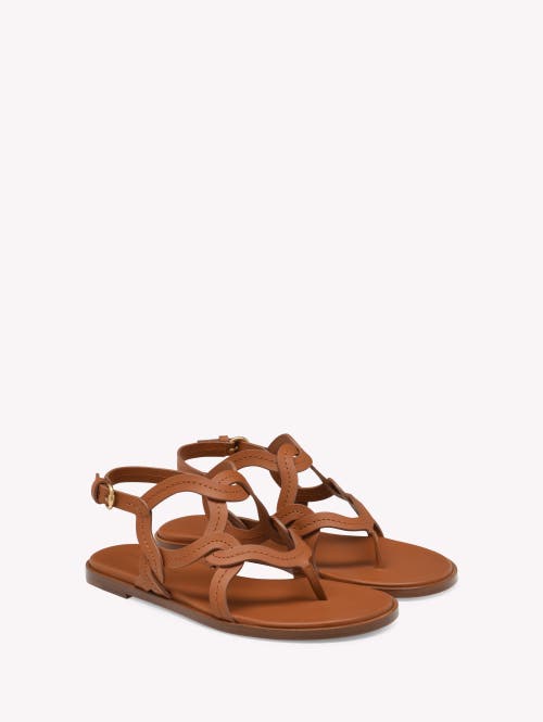 Gianvito Rossi Amalfi Thong Sandal In Brown