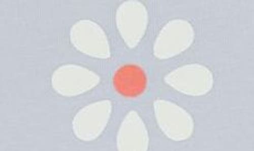 DOT AUSTRALIA DOT AUSTRALIA KIDS' FLOWER & CORE 2-PACK ASSORTED T-SHIRTS 