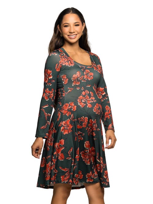 24seven Comfort Apparel Long Sleeve Fit And Flare Dress In Multi