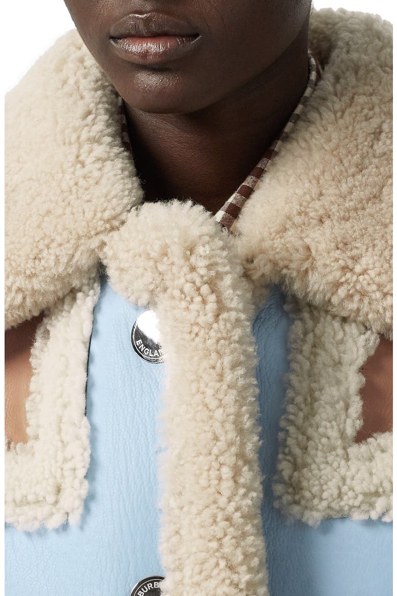 Two-Tone Genuine Shearling & Leather Coat, Alternate, color, BABY BLUE