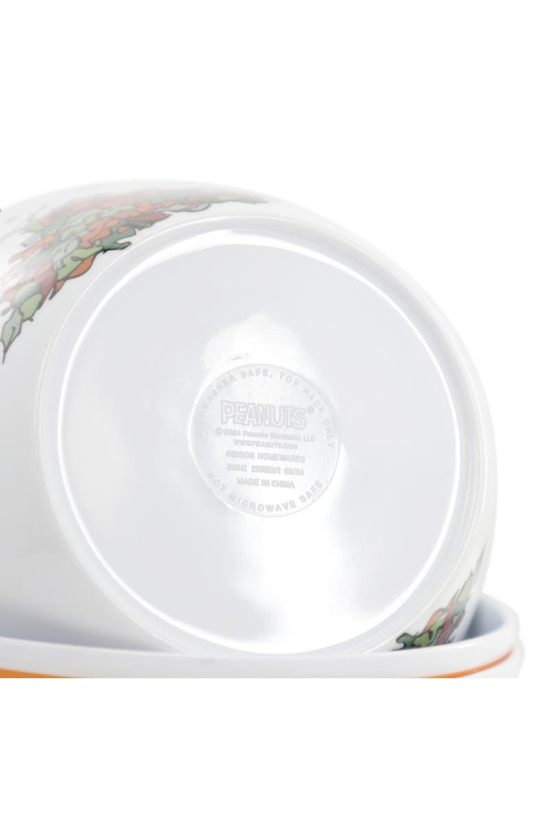 PEANUTS Happy Fall 4 Piece 5.8 Inch Round Melamine Cereal Bowl Set, Alternate, color, Assorted