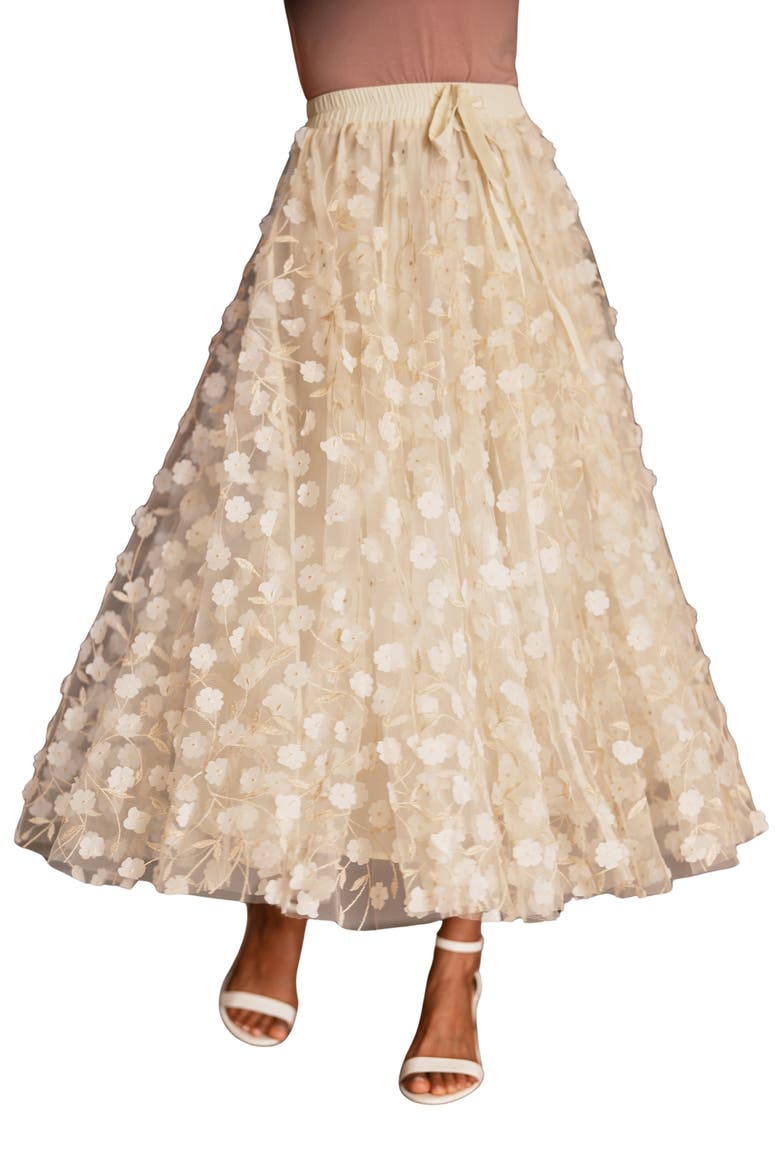 Mesh Floral Applique Midi Skirt, Main, color, Ivory