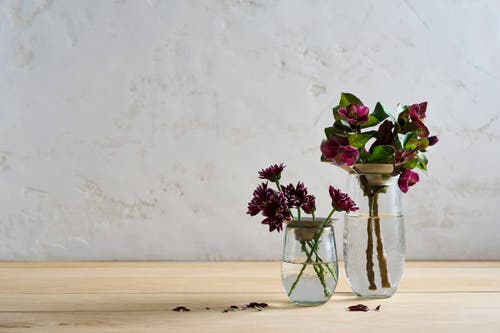The Collective Floral Propogate Assorted In Nickel