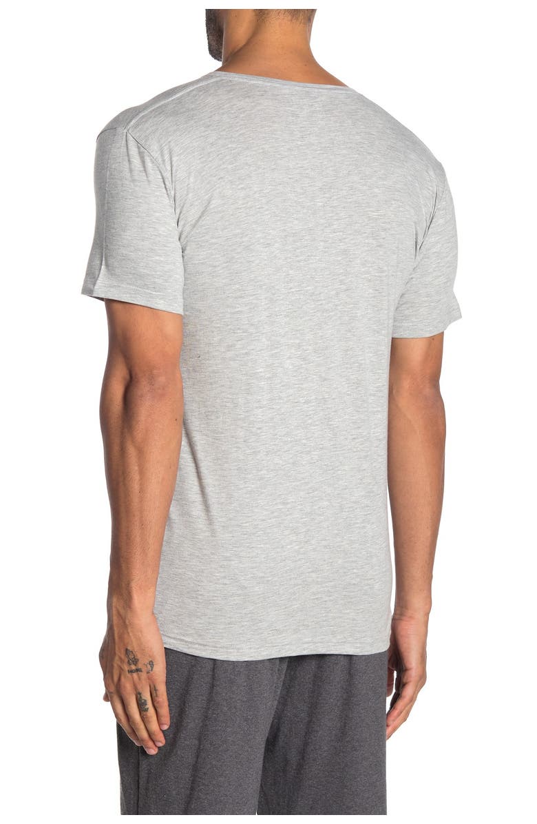 Pair of Thieves The Solid V-Neck Under Shirt, Alternate, color,