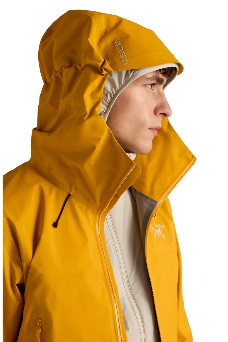 Beta SL GORE-TEX Hooded Jacket, Alternate, color, NUCLEUS