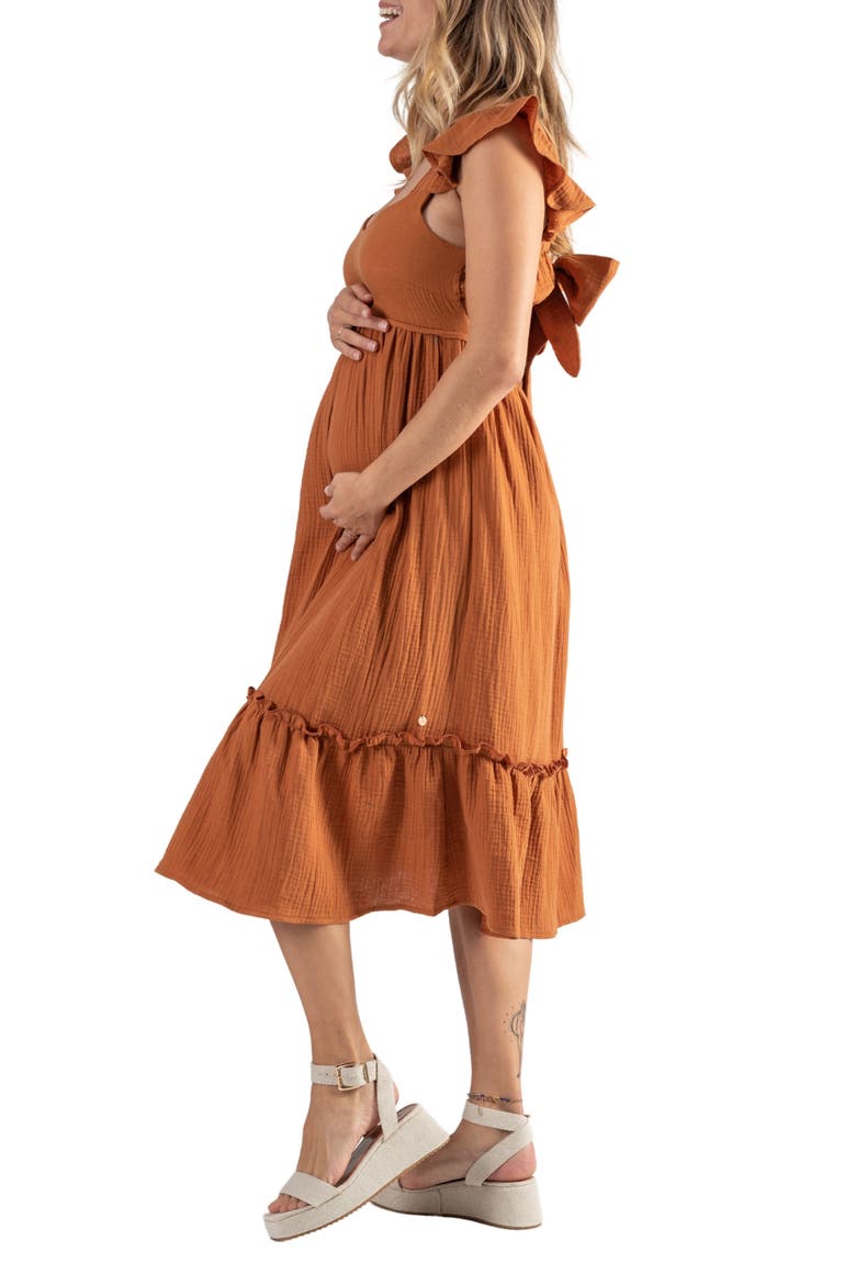 Melody Organic Cotton Gauze Maternity/Nursing Midi Dress, Alternate, color, CARAMEL
