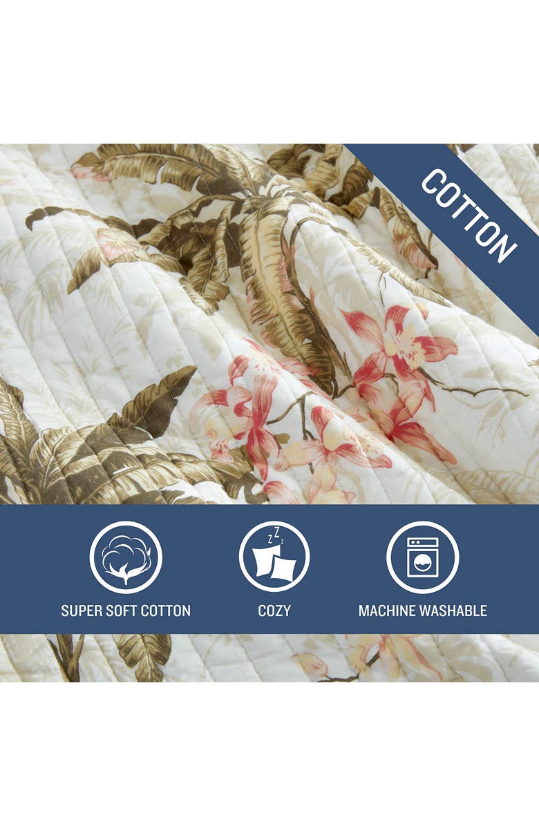 Tommy Bahama Bonny Cove Cotton Quilt & Sham Set, Alternate, color, Coconut