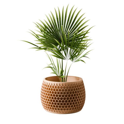Honeycomb Planter