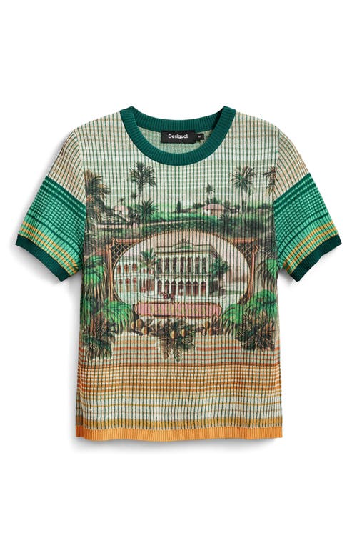 Desigual Stripe Scenic Rib Graphic T-shirt In Multi