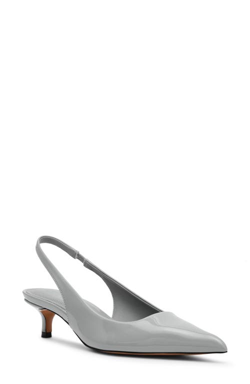 Steve Madden Kittie Slingback Pointed Toe Kitten Heel Pump In Gray