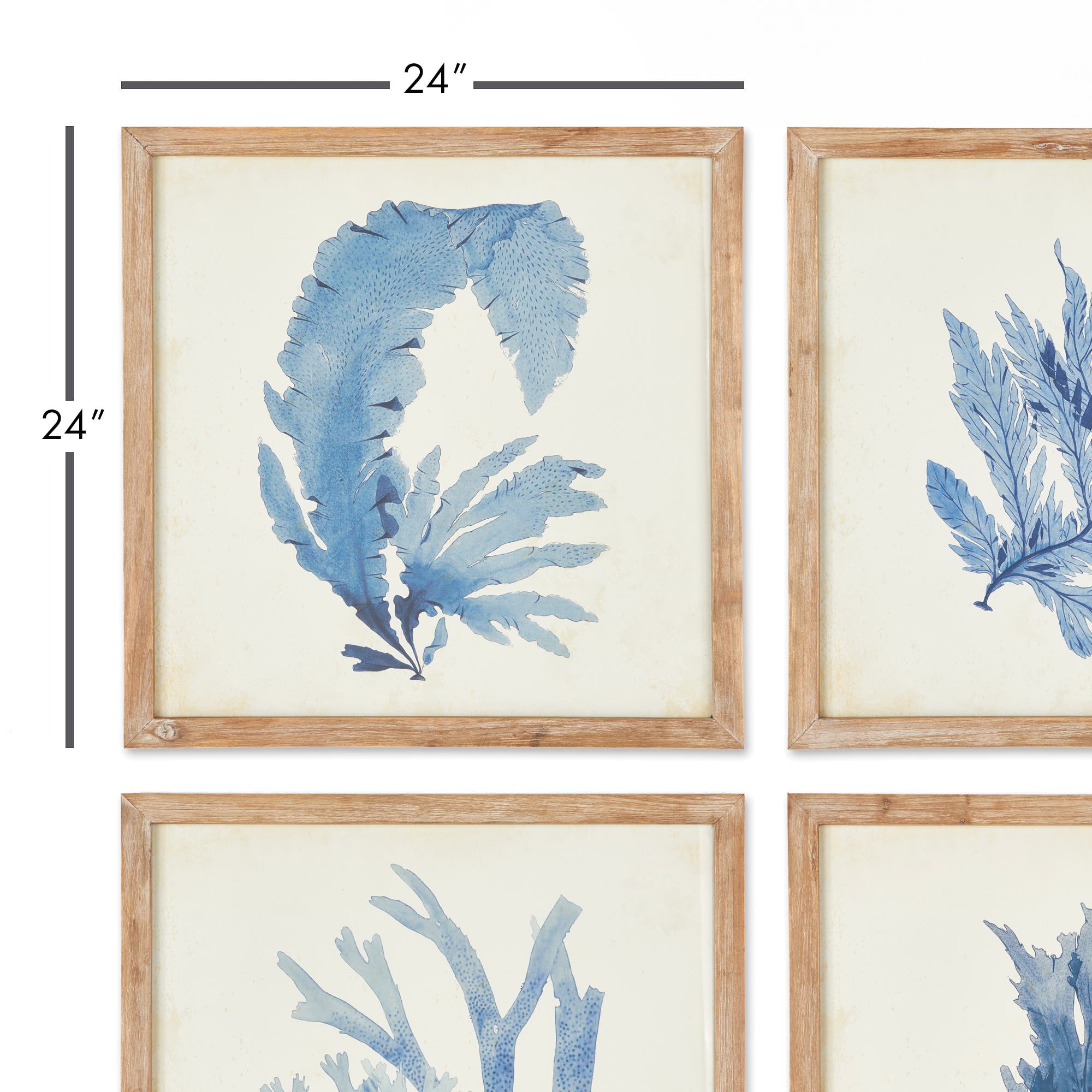Napa Home & Garden Framed Coral Watercolor Prints Set of 4 | Nordstrom