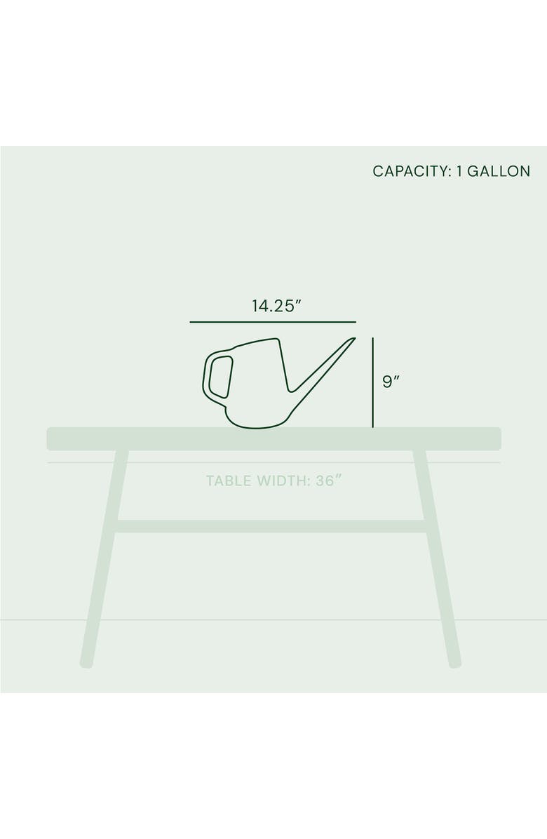 Bloem Translucent Watering Can 1 Gallon, Fern Grey, Alternate, color, Gray