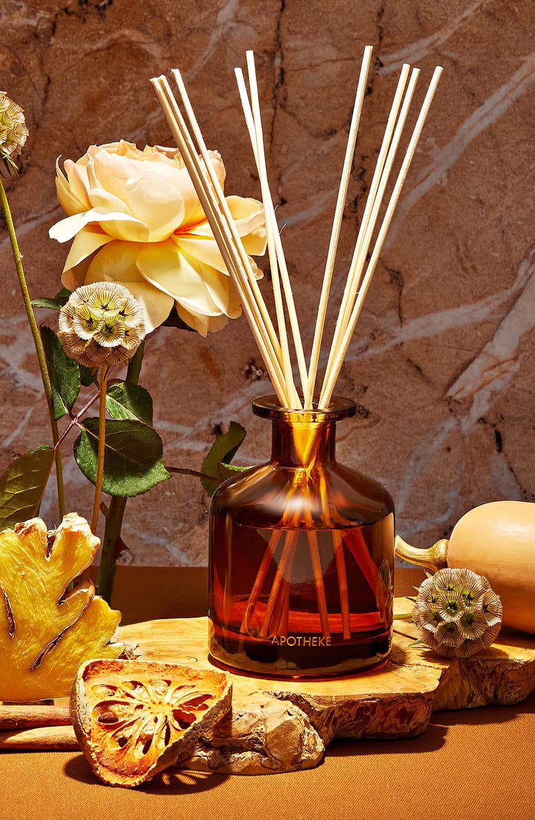 APOTHEKE Pumpkin Ginger Reed Diffuser, Alternate, color, Rust/ Copper