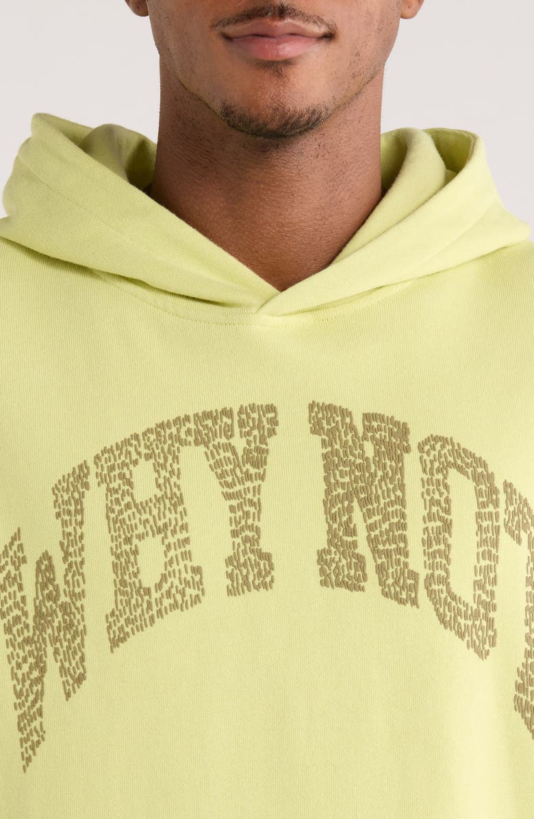 HONOR THE GIFT Why Not Graphic Hoodie, Alternate, color, Green