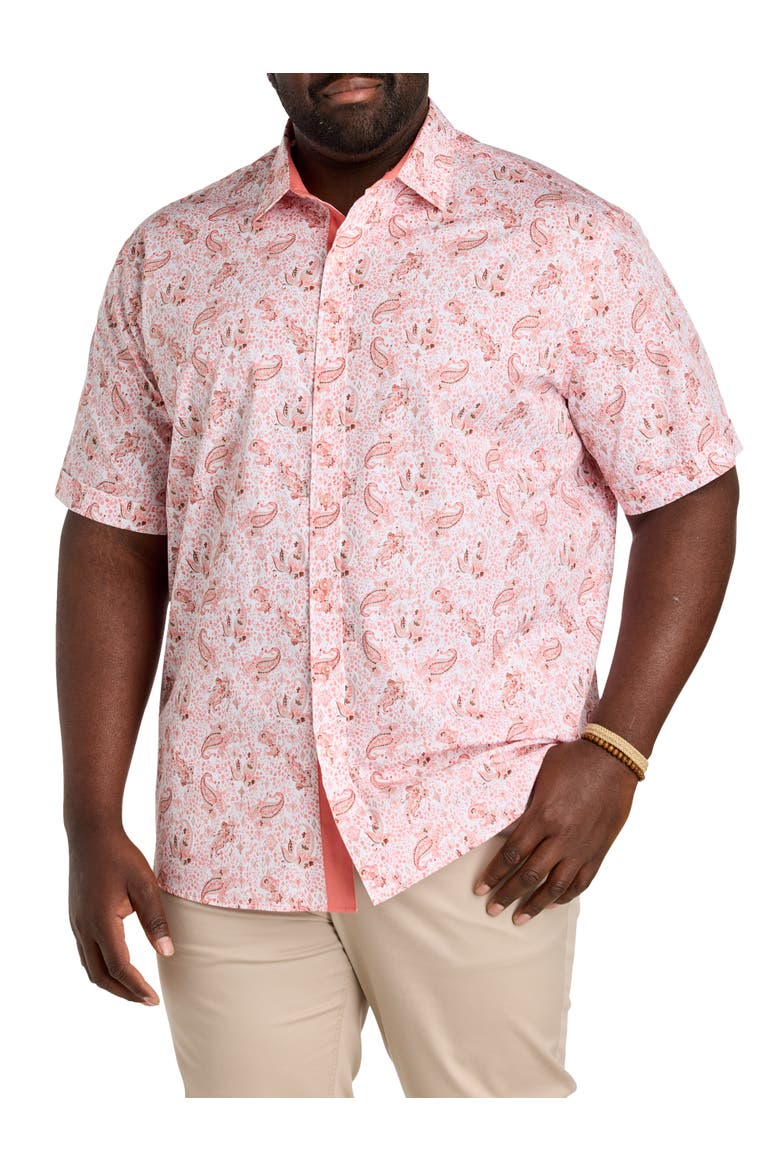 Big & Tall Mixed Paisley Print Sport Shirt, Main, color, PINK