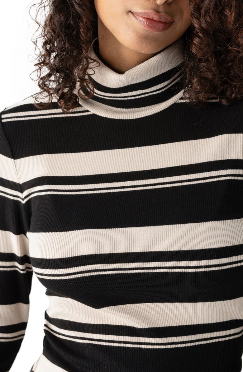 Sanctuary Essential Stripe Turtleneck, Alternate, color, 