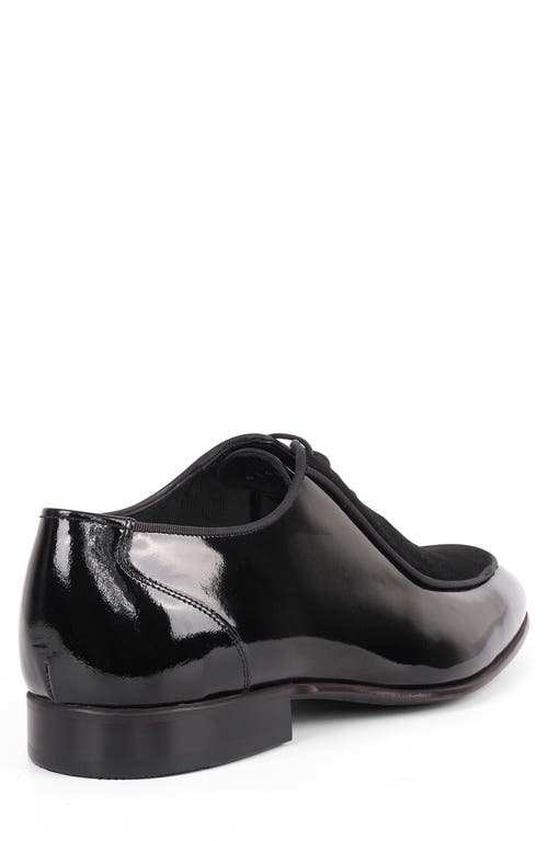 Vellapais Panola Oxford In Black