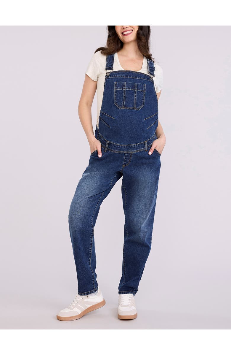 MOTHERHOOD MATERNITY Relaxed Fit Maternity Denim Overall, Main, color, Skoll Wash