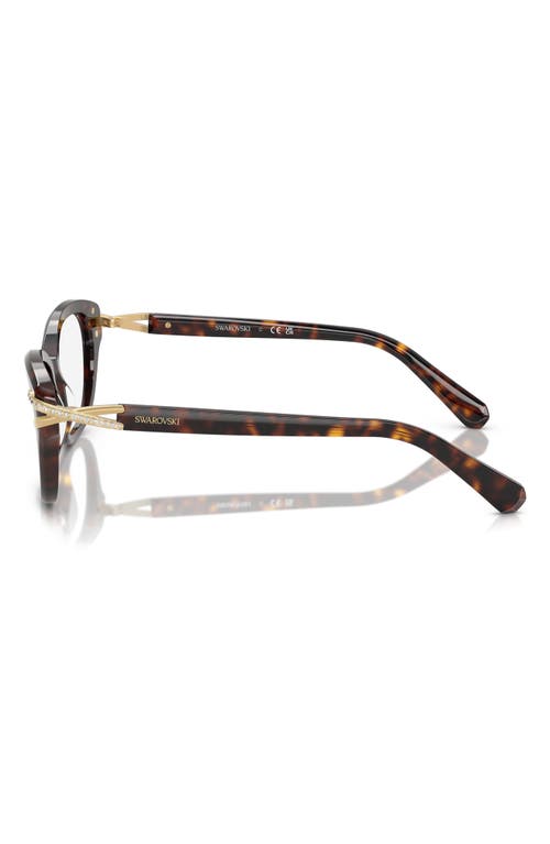 Swarovski 54mm Pillow Optical Glasses In Havana