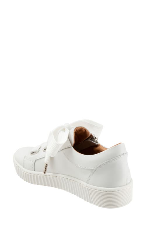 Eos Footwear Jovi Bow Sneaker