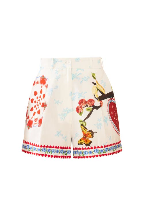 Eddy Scottie Short In Multi