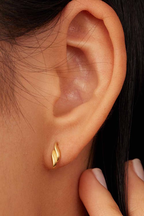Oradina 14k Gold Making Waves Studs In Yellow Gold