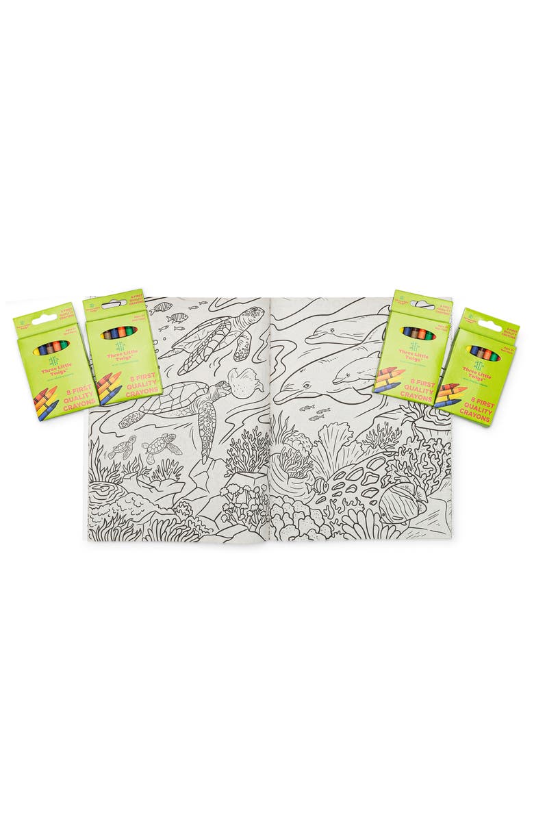 Three Little Twigs Animals of The World Coloring Books 16 Piece Bundle, Alternate, color,