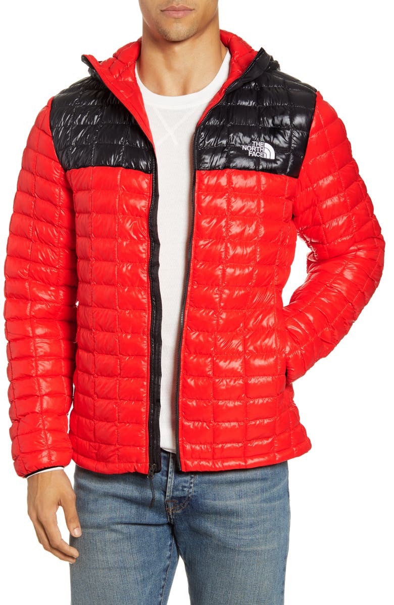 The North Face ThermoBall<sup>™</sup> Eco Hooded Parka, Main, color,