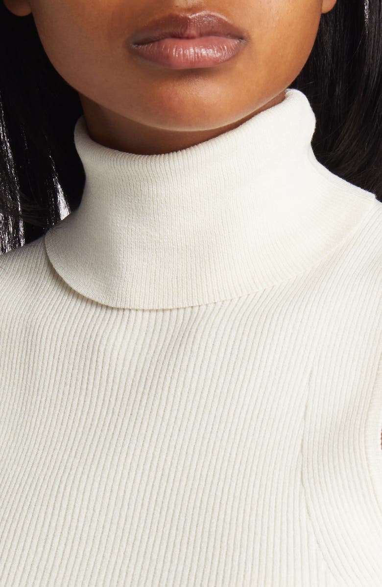 Anne Klein Sleeveless Ribbed Turtleneck Sweater, Alternate, color, 