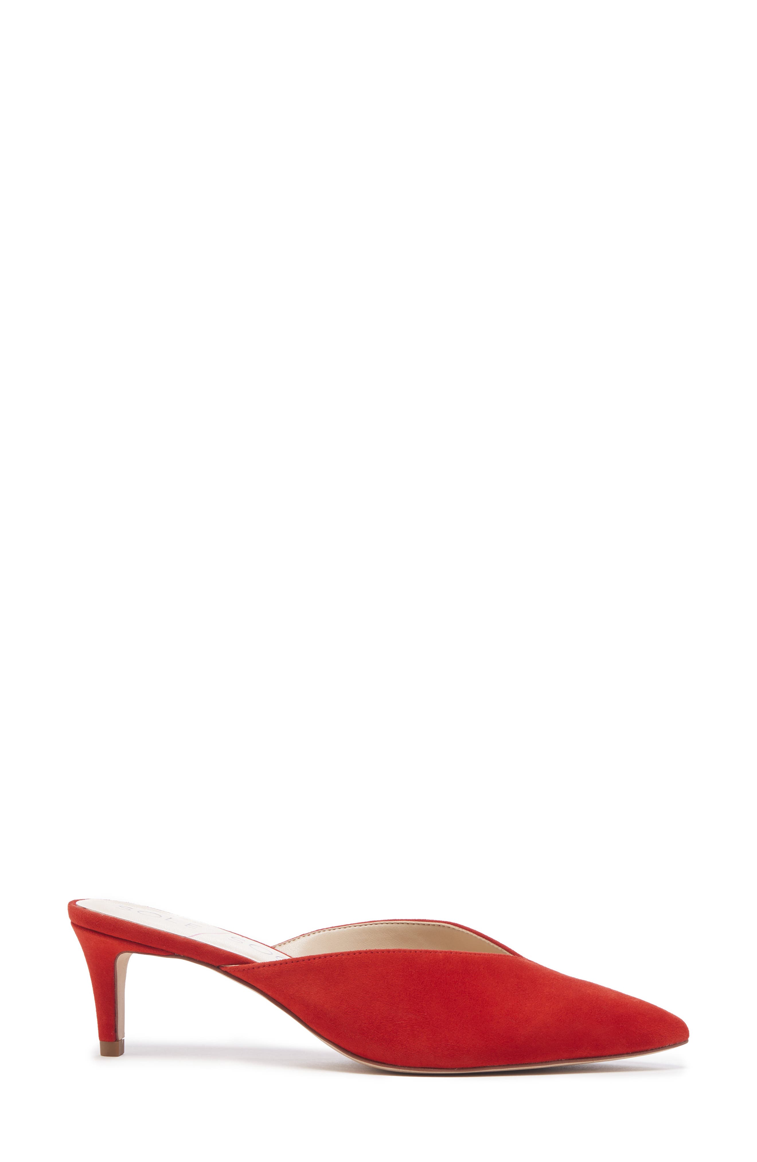 Maleah Pointy Toe Mule, Alternate, color, BRIGHT RED SUEDE
