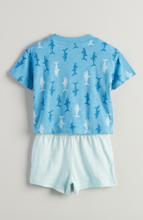 Tucker + Tate Print Cotton T-shirt & Shorts Set In Blue