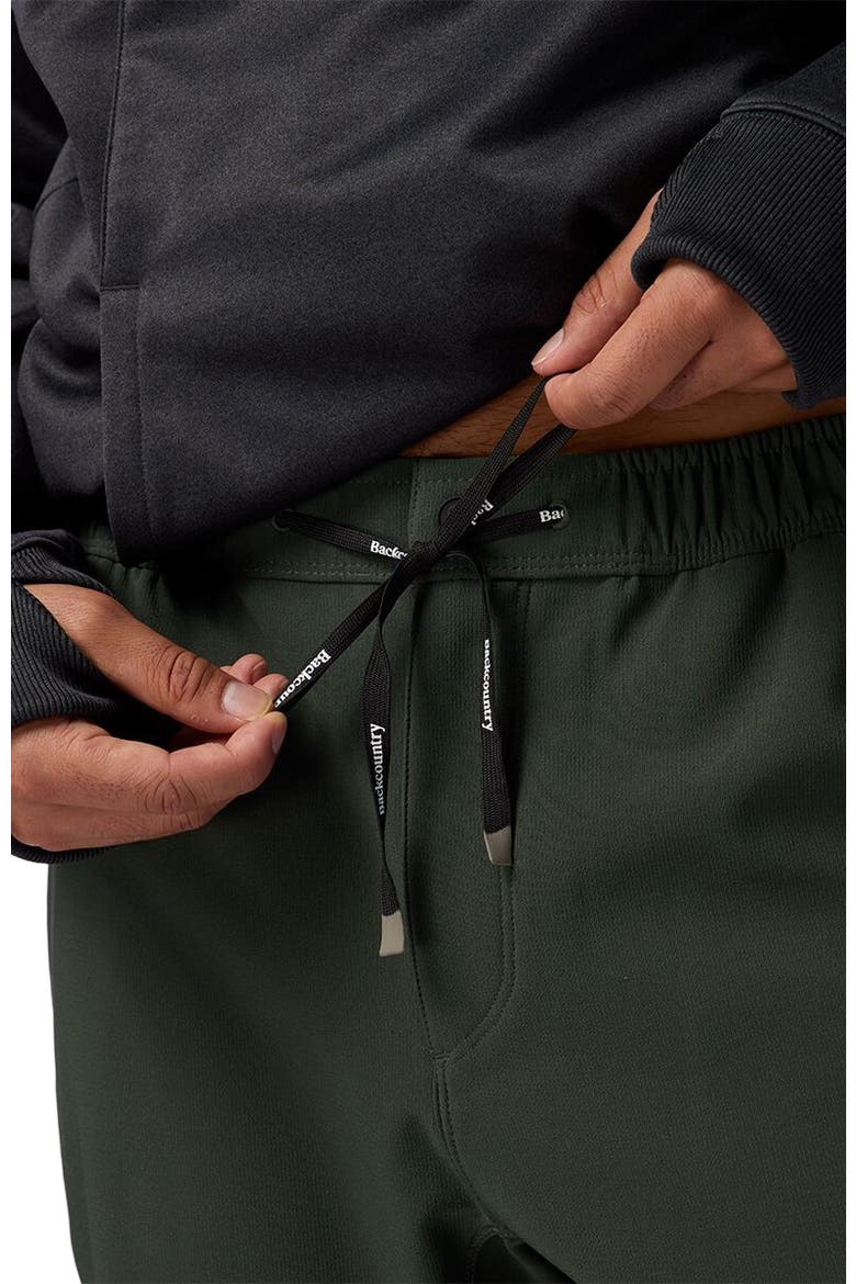 Destination Softshell Fleece Pant - Men's, Alternate, color, Climbing Ivy