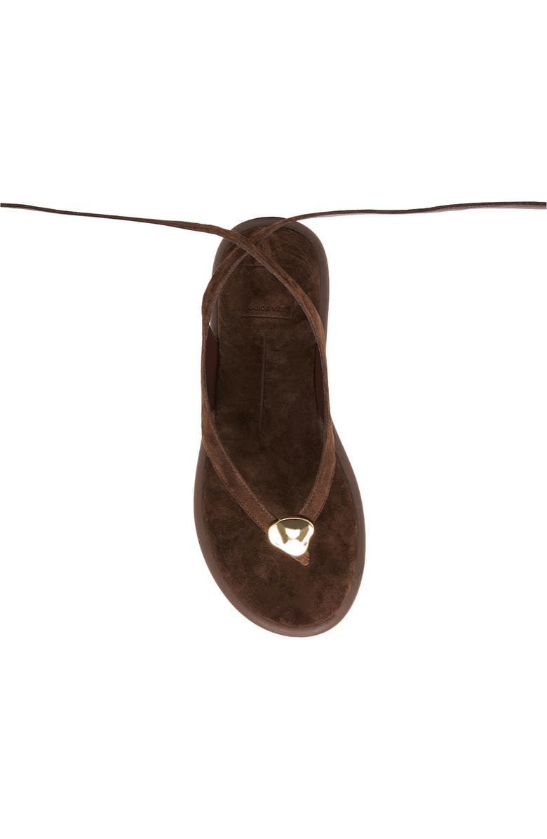 Dolce Vita Judy Ankle Wrap Sandal, Alternate, color, Dark Brown Suede