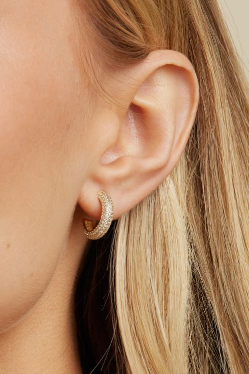 Untamed Petals Brookes Crystal Hoops In Gold