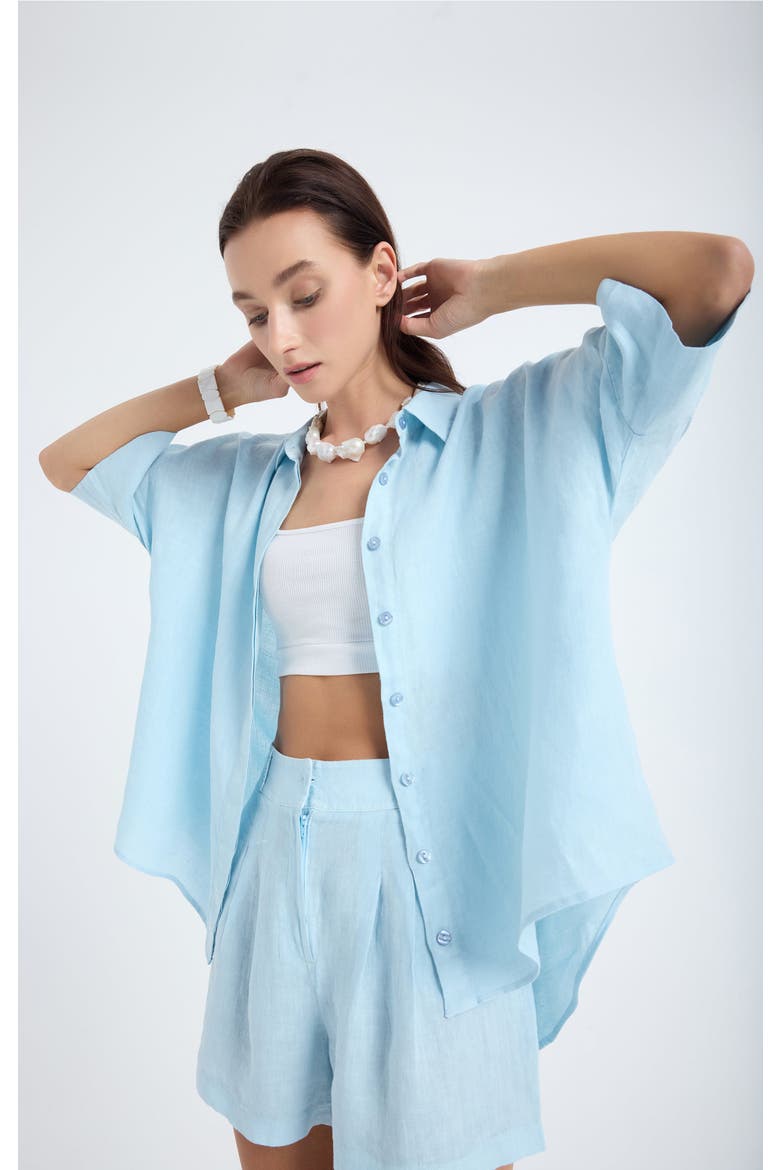Iyan 100% Linen Oversize Shirt, Main, color, Blue