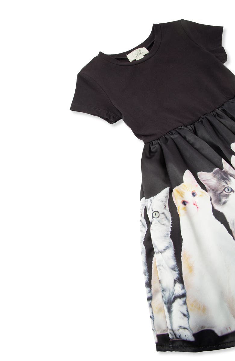 Peek Aren't You Curious Kids' Photoreal Kitten Fit & Flare Dress, Alternate, color, Black