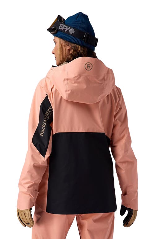 Backcountry Crestcarver Gore-tex Shell Jacket In Pink