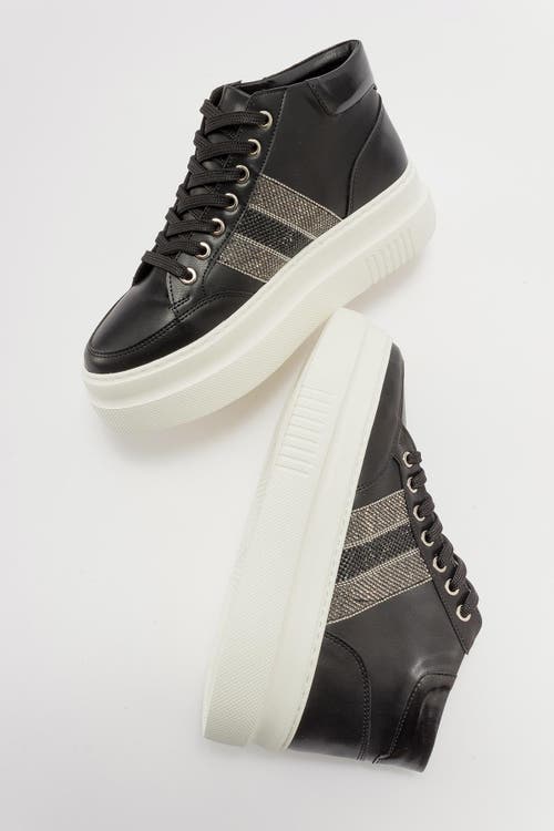 Prologue Shoes Lessino Sneakers In Black