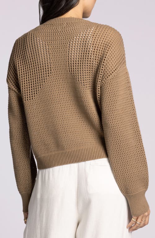 Thread & Supply Jasmine Cotton Mesh Sweater