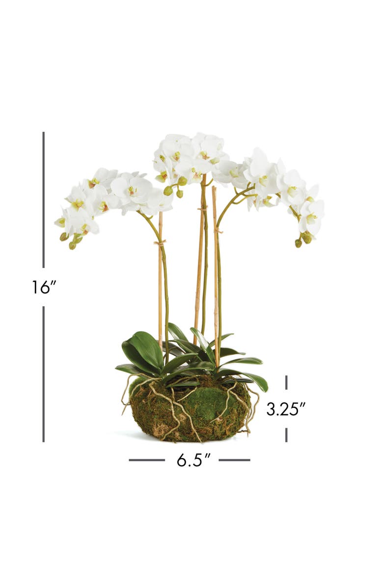 Phalaenopsis Orchid Faux (Fake) Mini Garden Drop-In 16", Alternate, color, White