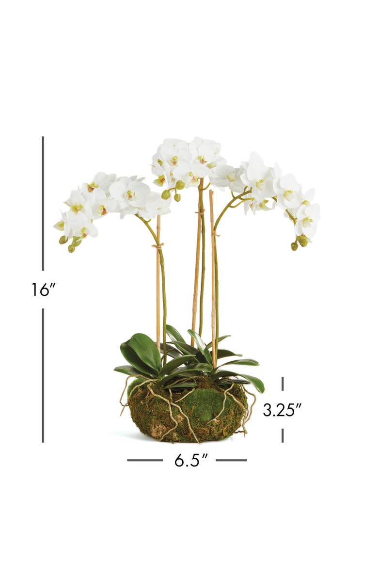 Napa Home & Garden Phalaenopsis Orchid Faux (Fake) Mini Garden Drop-In 16", Alternate, color, 