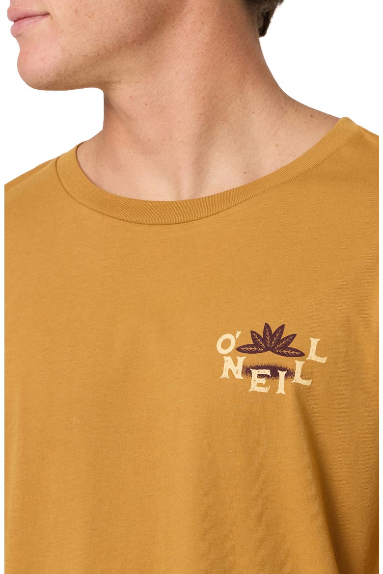 El Calafate Long Sleeve Cotton Graphic T-Shirt, Alternate, color, BONE BROWN