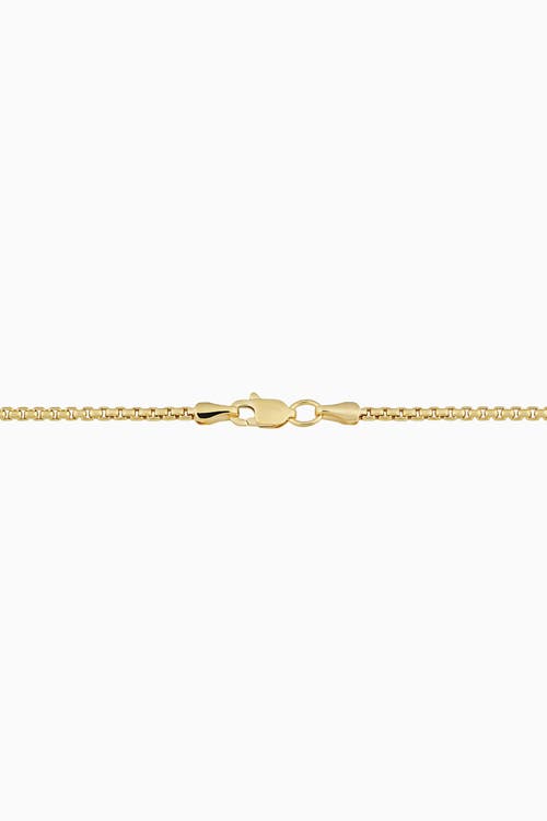 Oradina Round Bodega Box Chain In 14k Yellow Gold