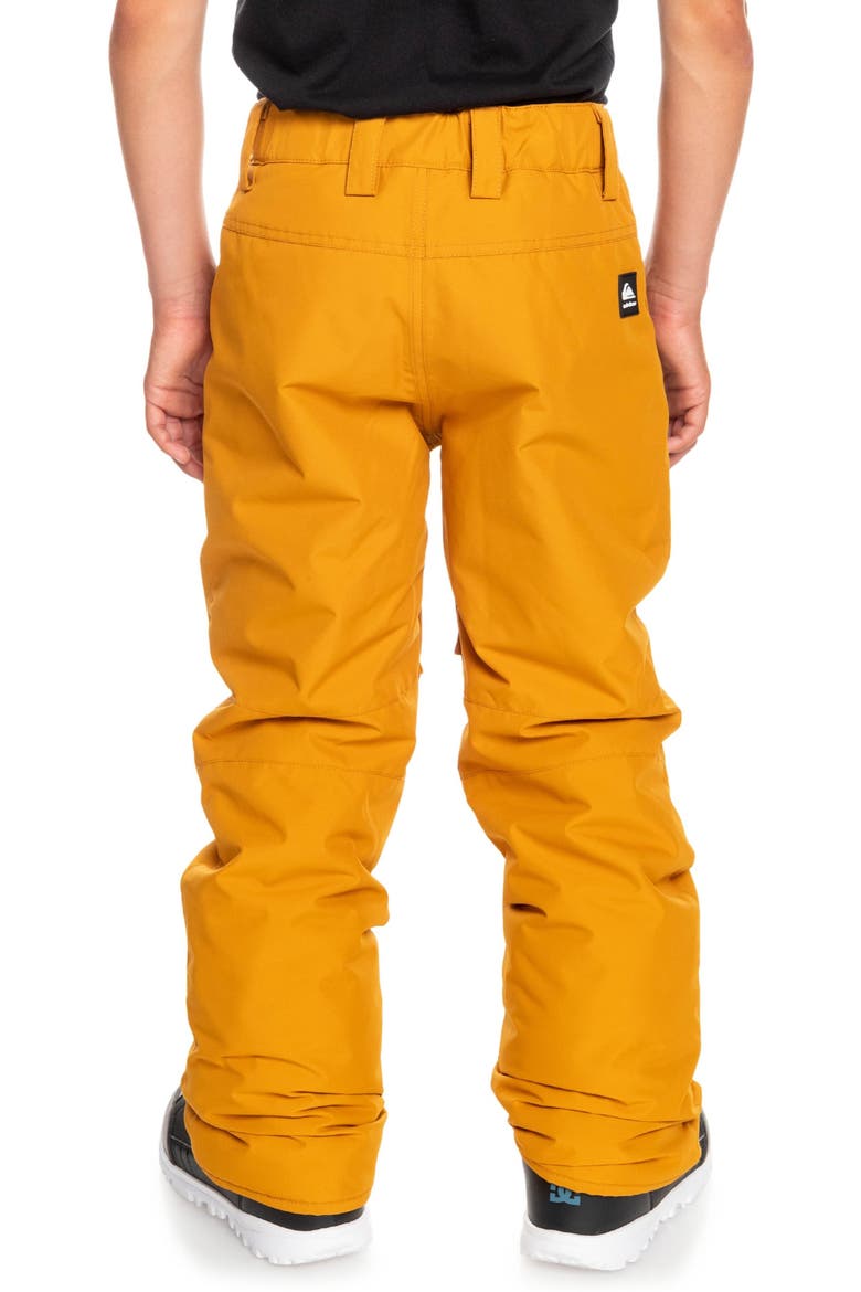 Kids' Estate Waterproof Snow Pants, Alternate, color, BUCKTHORN BROWN
