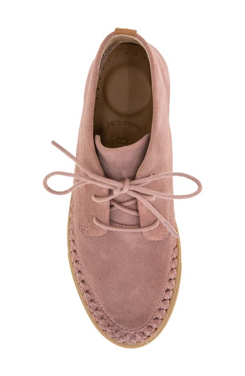 Gentle Souls Cacti Chukka Sneaker In Pink
