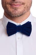 PAISLEY & GRAY Bradley Velvet Bow Tie