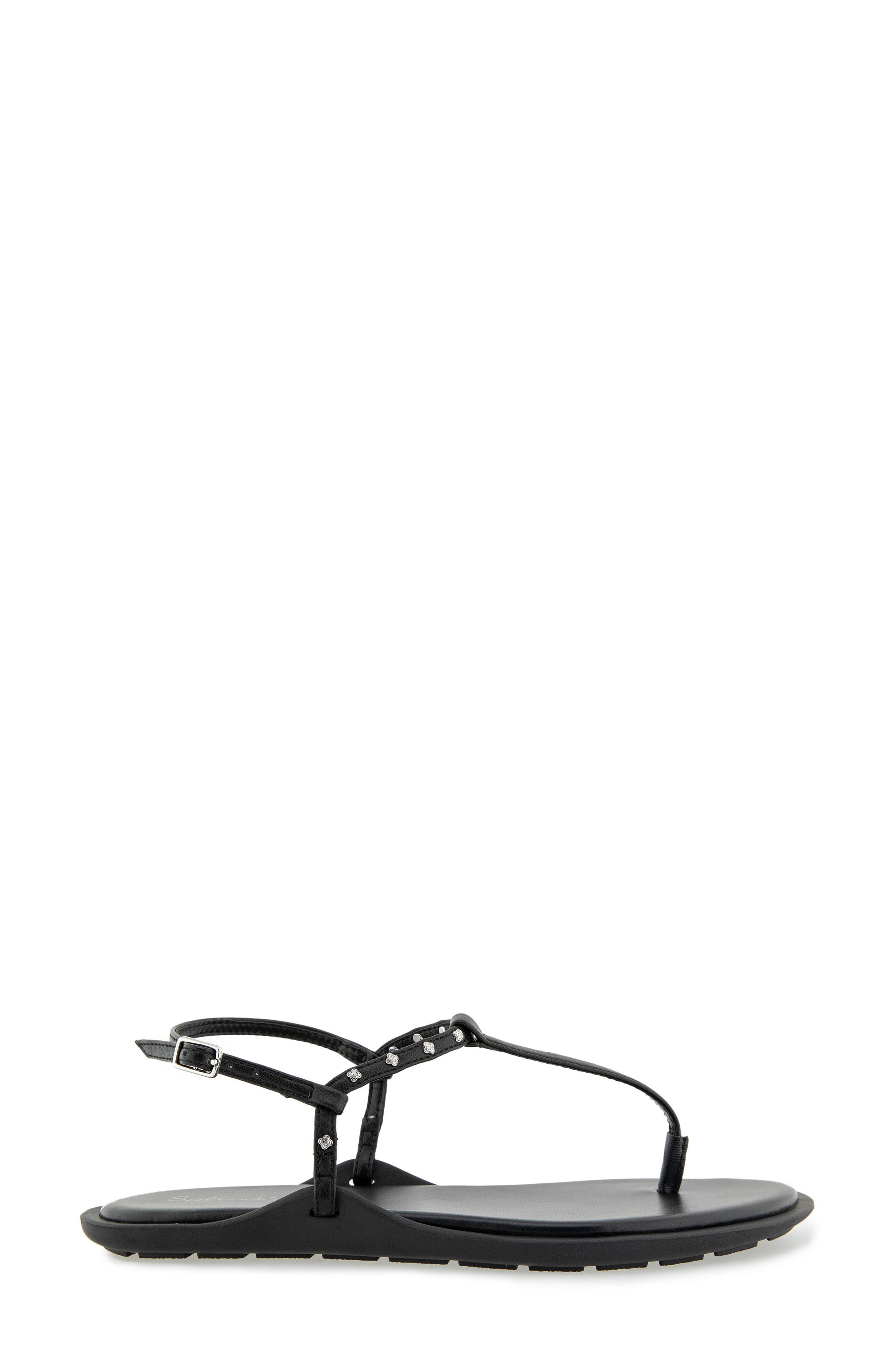 Splendid Asher Studded T-Strap Sandal, Alternate, color, Black