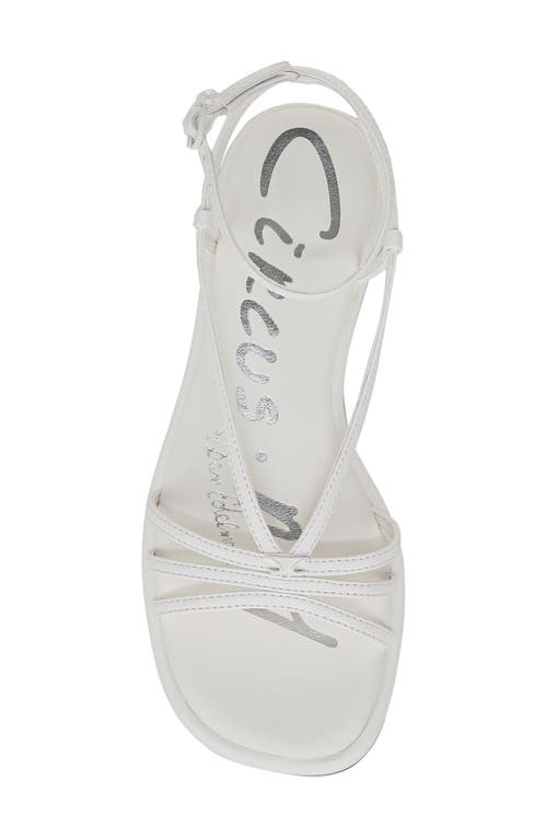 Circus Ny By Sam Edelman Olana Strappy Flat Sandals In Bright White