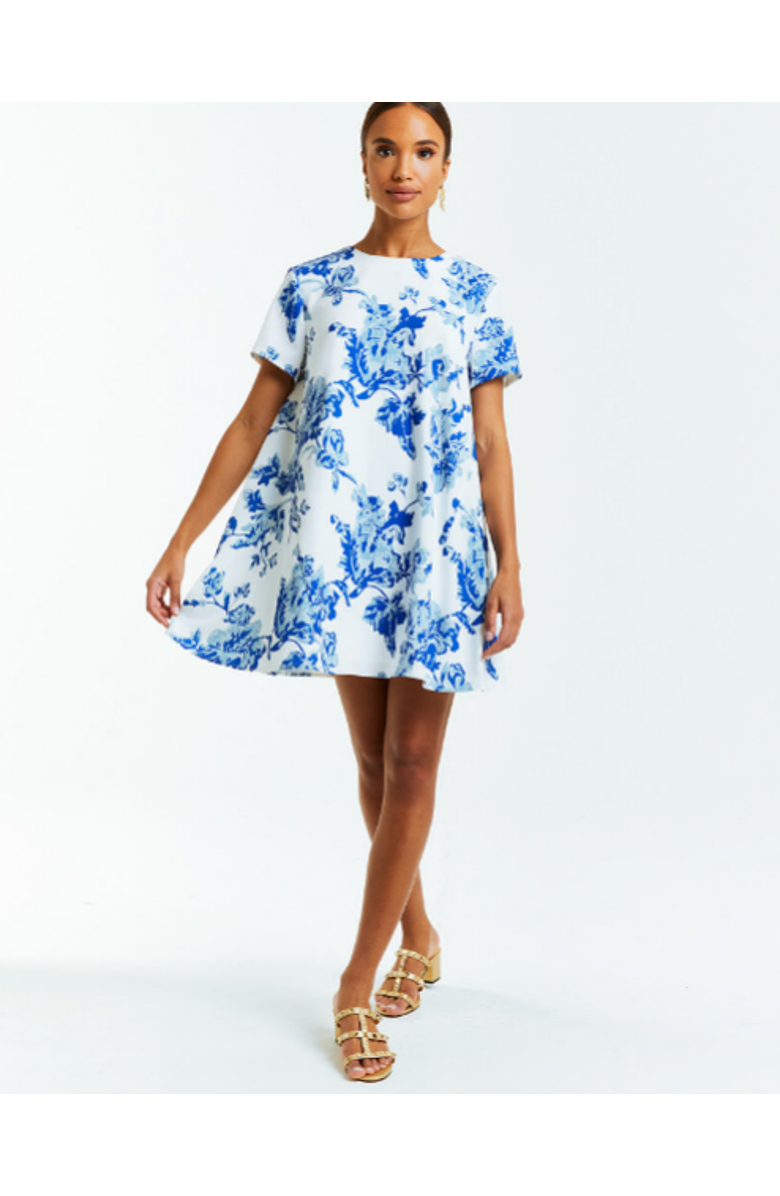 Mestiza New York Cecily Mini Dress, Alternate, color,
