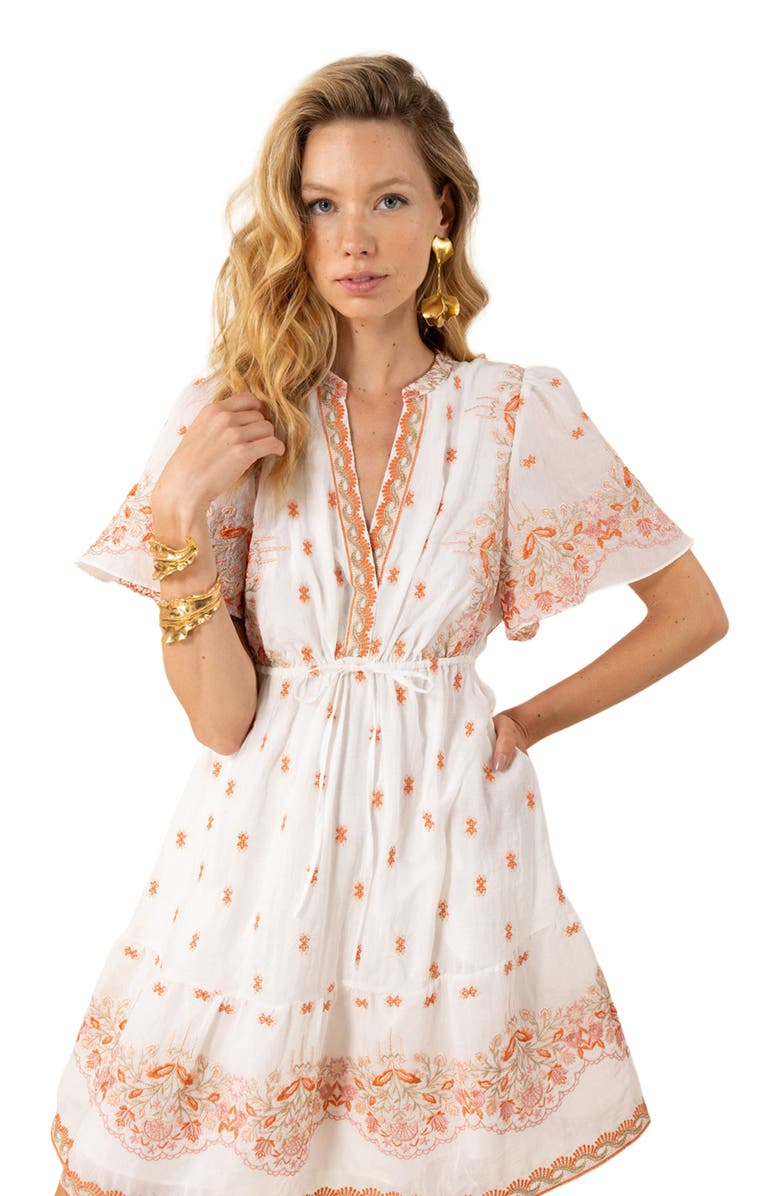 Hale Bob Milan Embroidered Organza Dress, Alternate, color, 